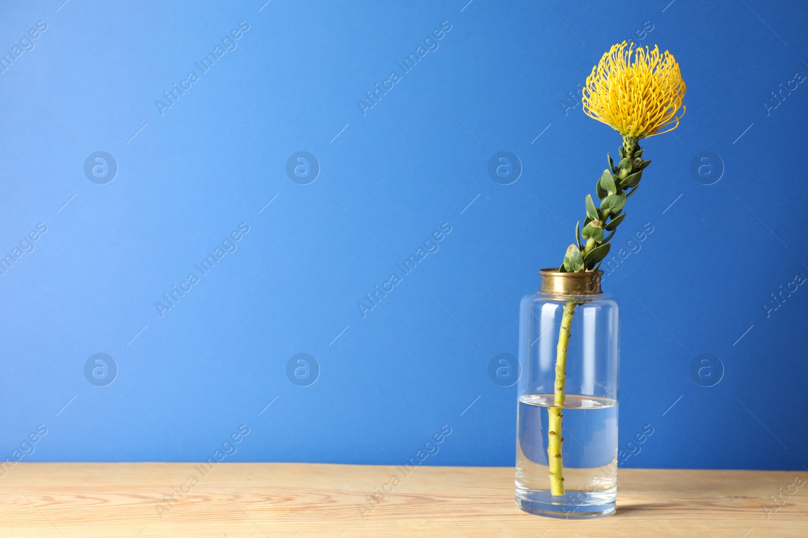 Photo of Beautiful flower in vase on wooden table. Space for text