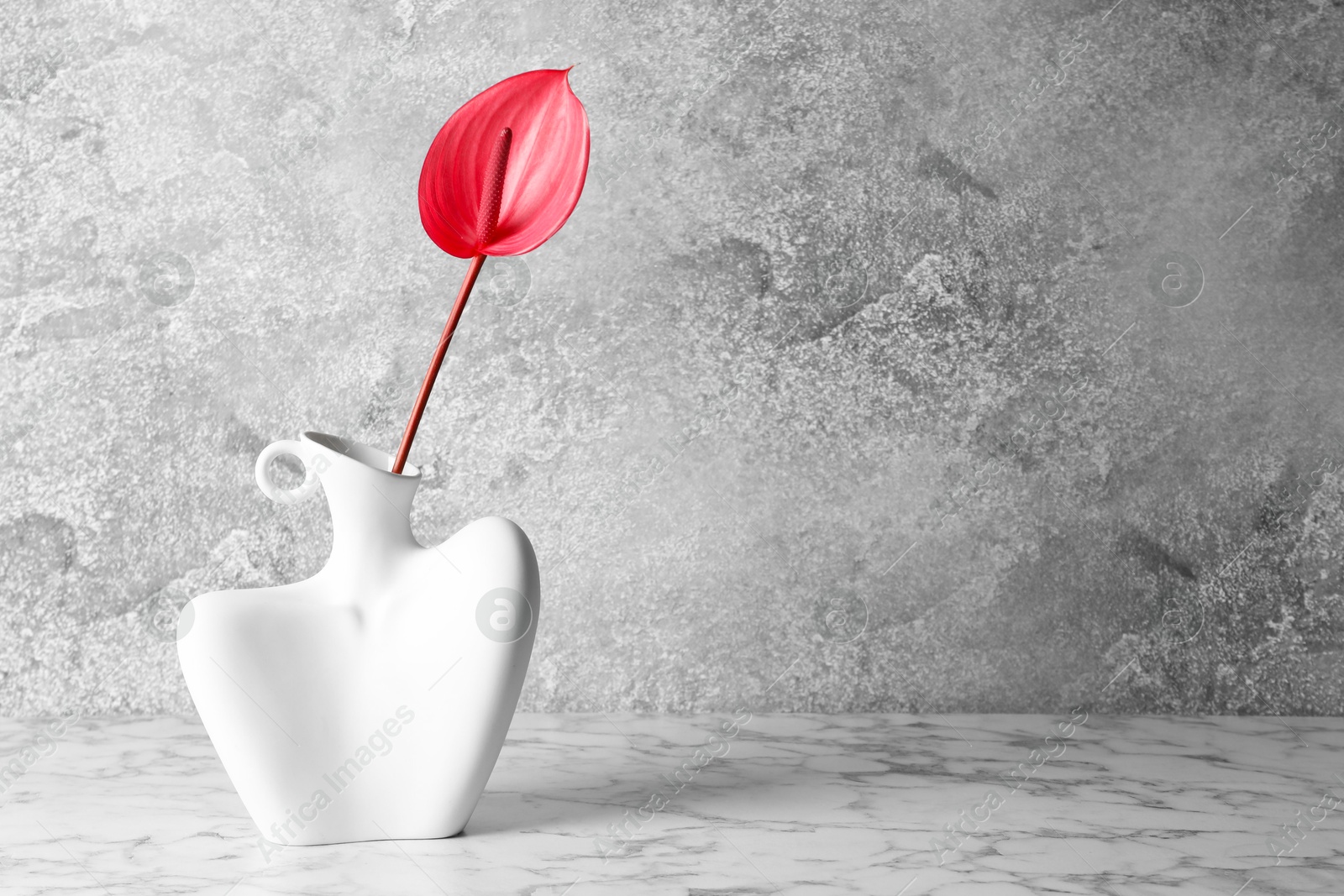 Photo of Beautiful tail flower in vase on marble table. Space for text