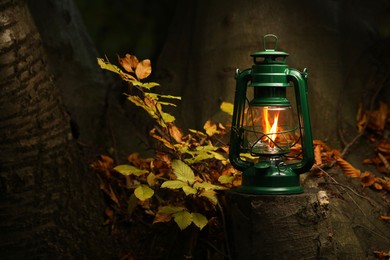 Photo of Vintage kerosene lamp near tree in forest at evening, space for text