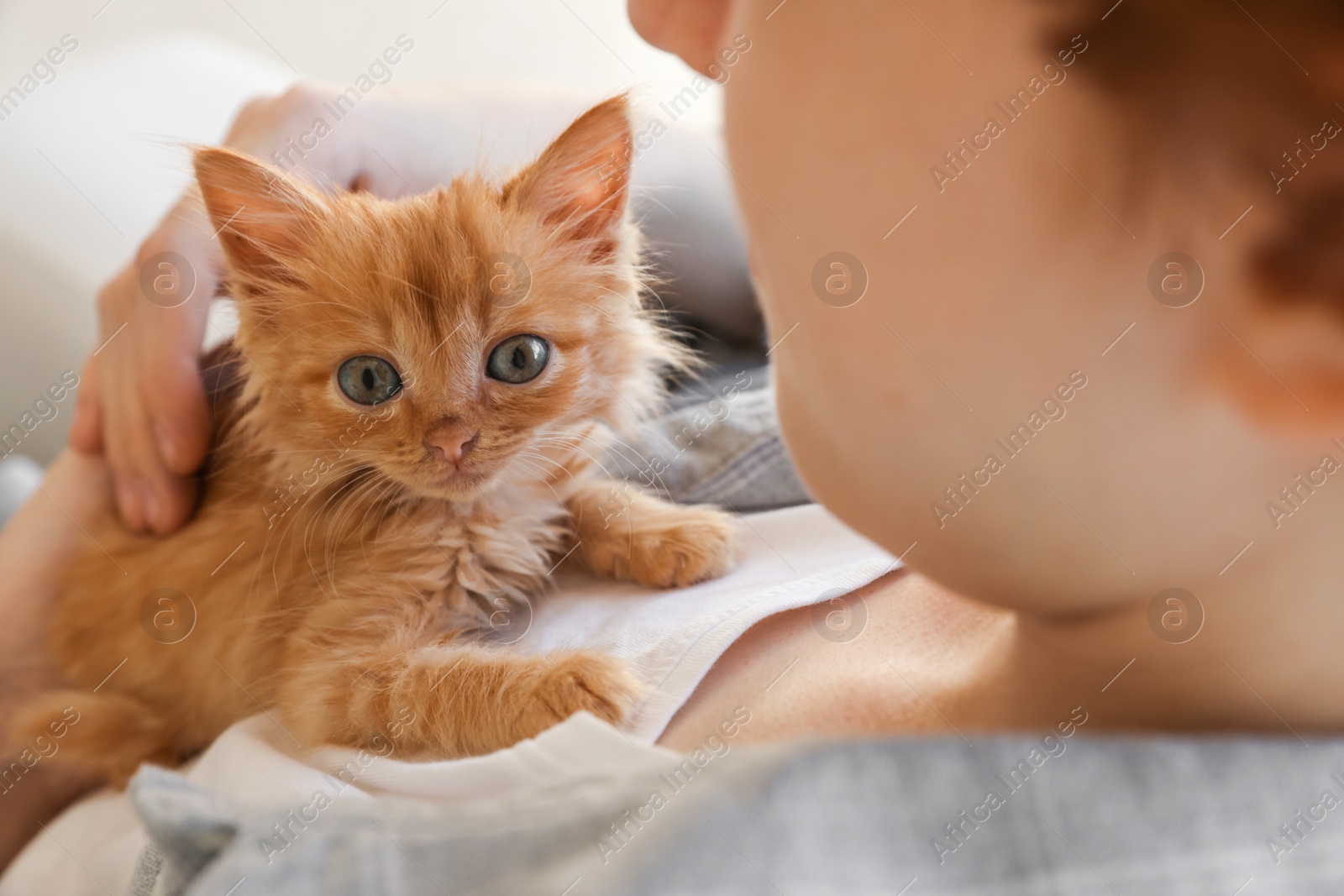 Photo of Teenage boy with his cute ginger kitten indoors, closeup