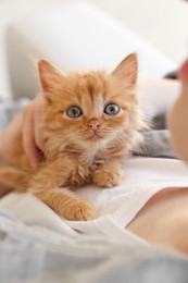 Photo of Teenage boy with his cute ginger kitten indoors, closeup