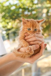 Photo of Teenage boy with cute orange kitten on blurred background, closeup