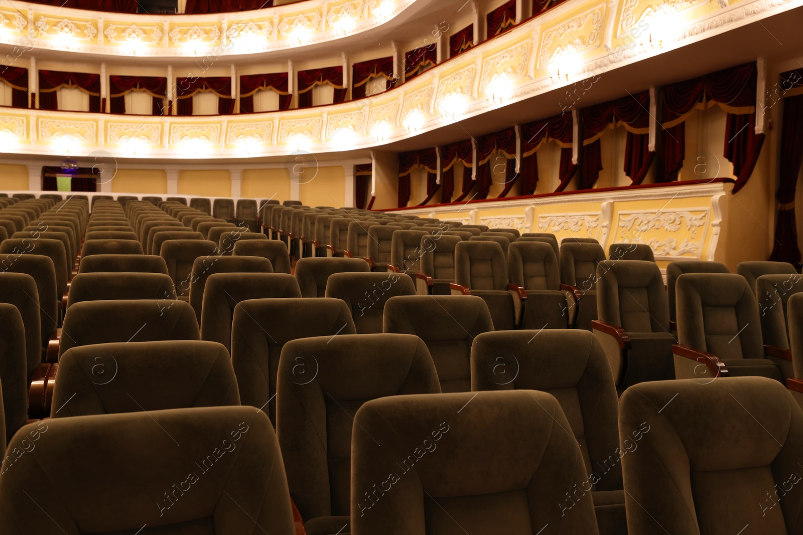 Photo of Rows of gray comfortable seats in theatre, closeup