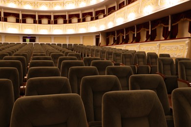 Rows of gray comfortable seats in theatre, closeup