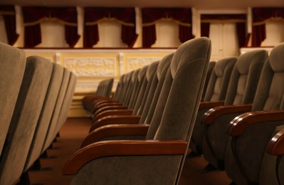 Photo of Rows of gray comfortable seats in theatre, closeup