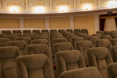 Rows of gray comfortable seats in theatre, closeup