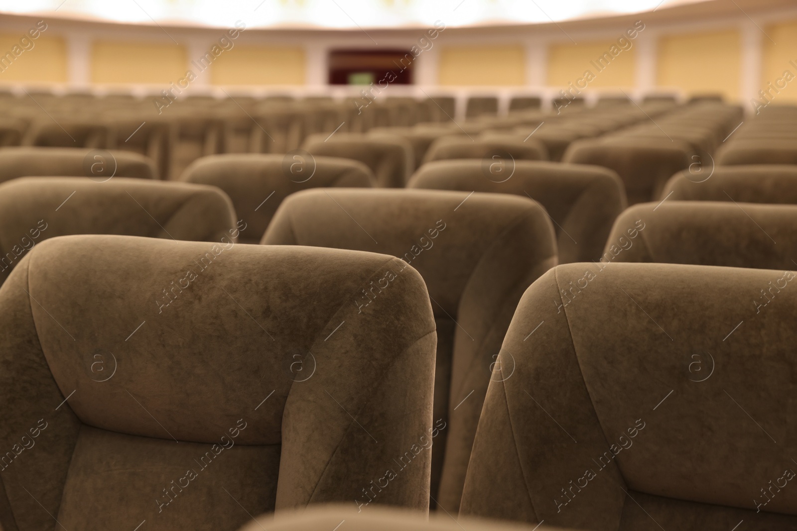 Photo of Rows of gray comfortable seats in theatre, closeup