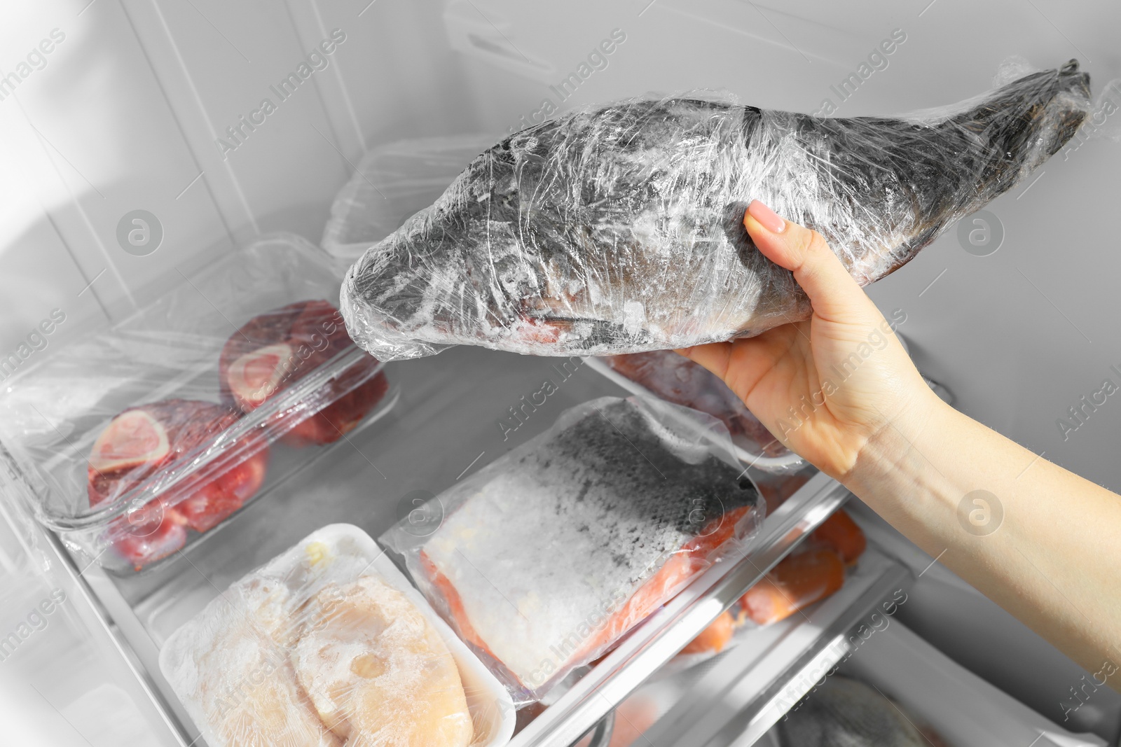 Photo of Woman taking frozen fish out of fridge, closeup