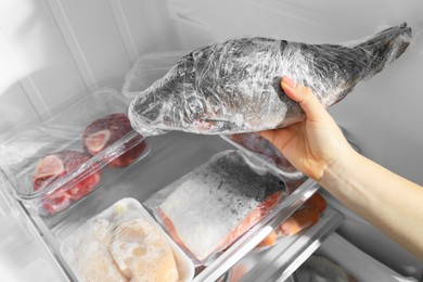 Photo of Woman taking frozen fish out of fridge, closeup