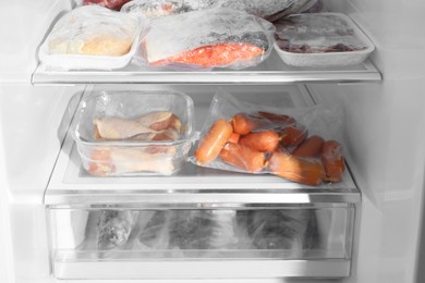 Photo of Different frozen meat and fish products in fridge