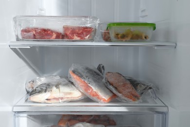 Photo of Different frozen meat and fish products in fridge