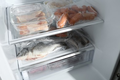 Photo of Different frozen meat and fish products in fridge