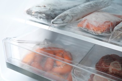 Photo of Different frozen meat and fish products in fridge, closeup