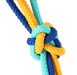 Photo of Colorful ropes tied in knot isolated on white. Unity concept