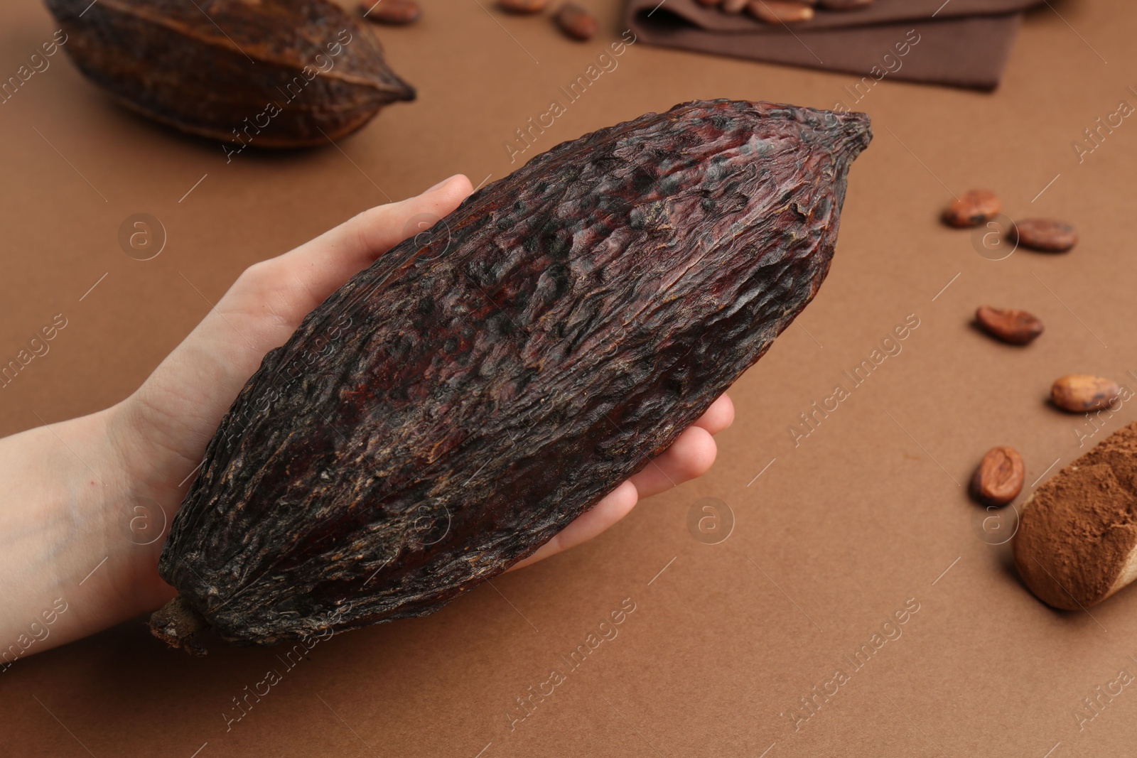 Photo of Woman with cocoa pod on brown background, closeup