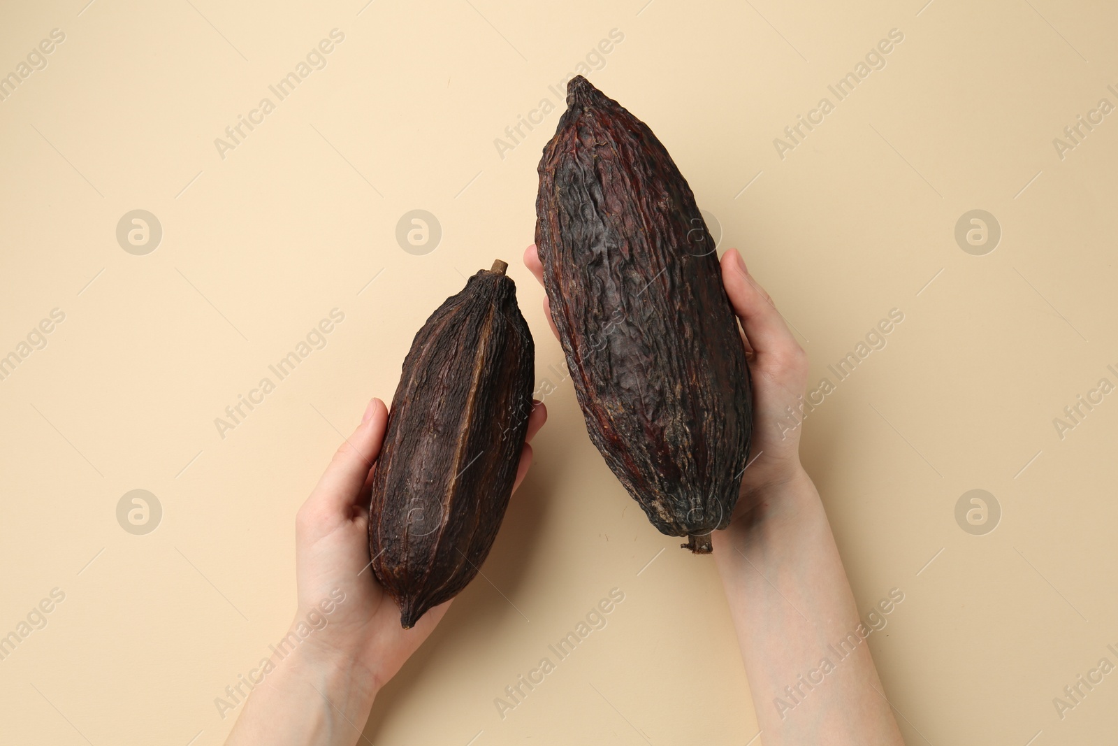 Photo of Woman with cocoa pods on beige background, top view