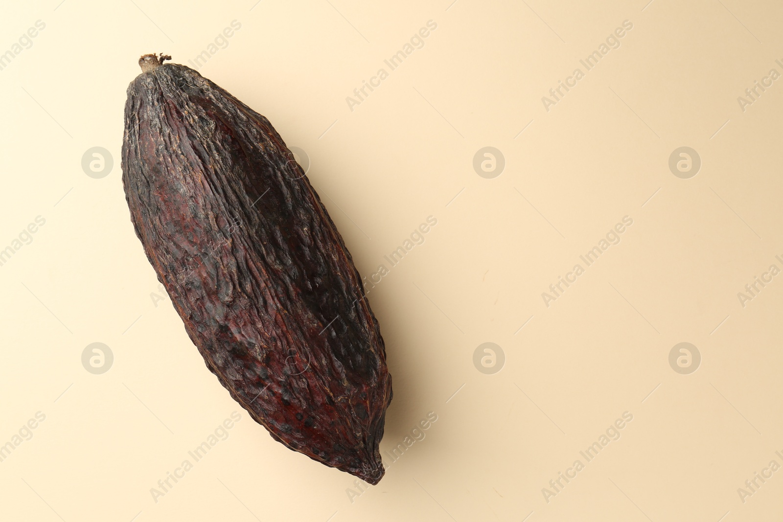 Photo of Cocoa pod on beige background, top view. Space for text