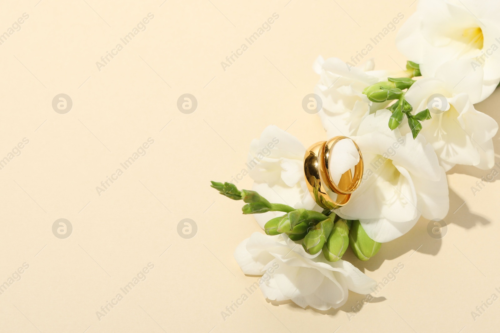 Photo of Golden wedding rings and flowers on beige background, space for text