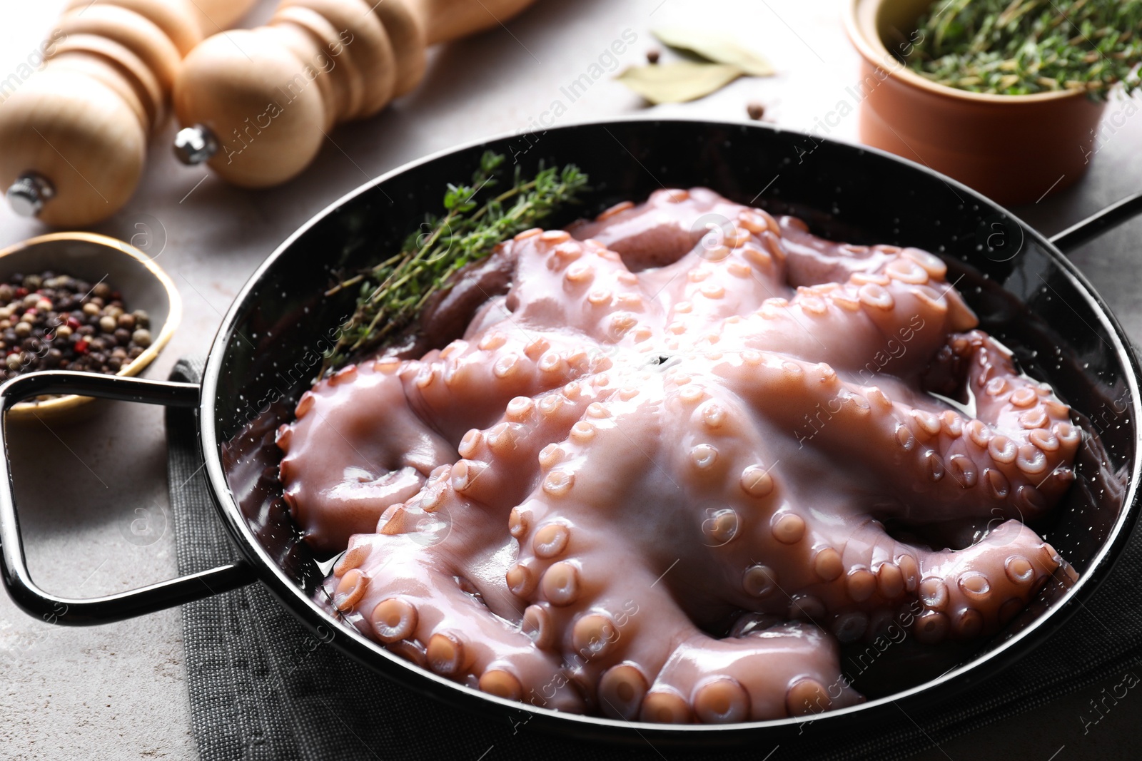 Photo of Fresh raw octopus and spices on grey table, closeup