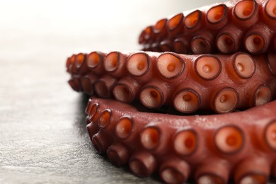 Photo of Fresh raw octopus on grey table, closeup