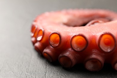 Photo of Fresh raw octopus on grey table, closeup