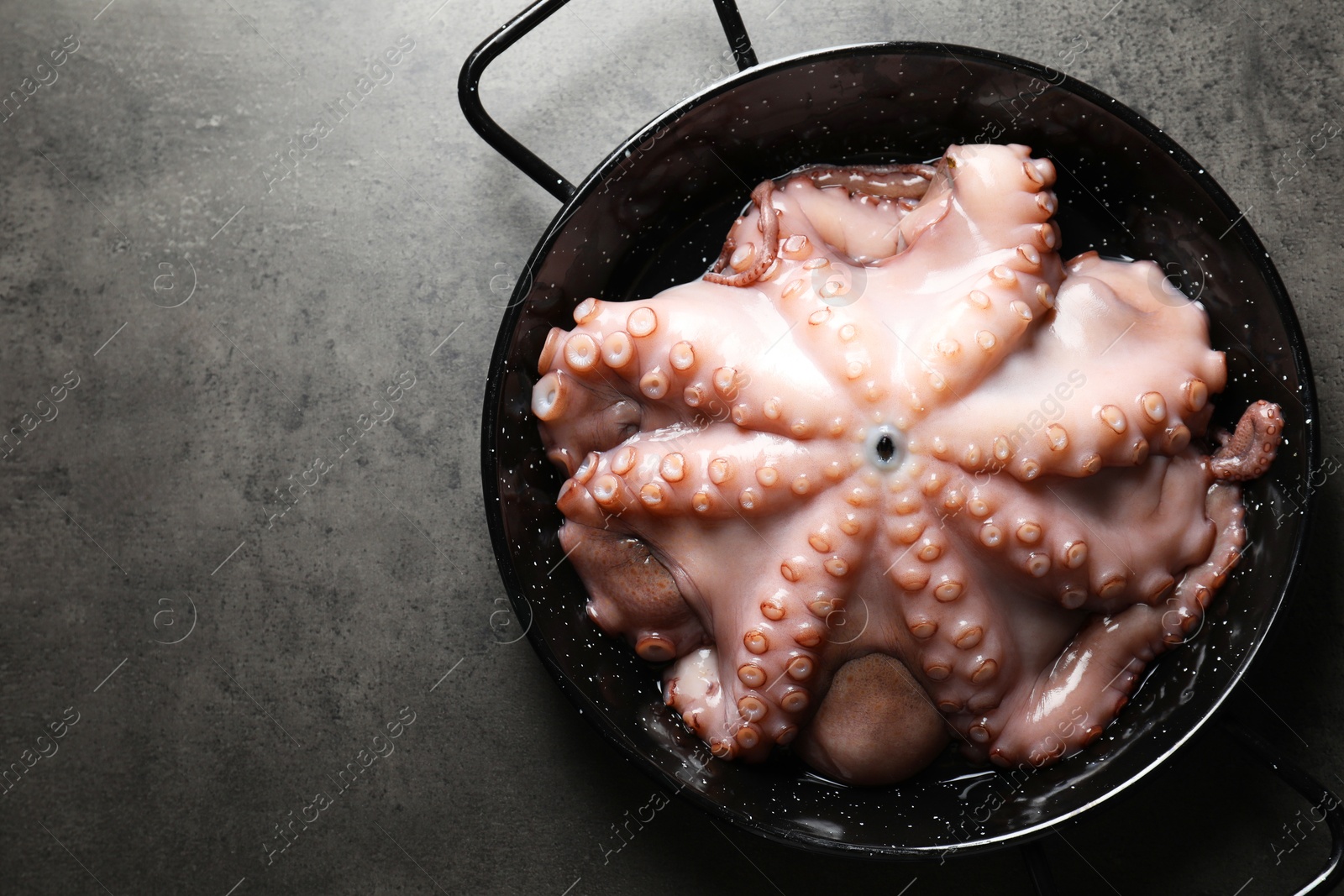 Photo of Fresh raw octopus in frying pan on grey table, top view. Space for text