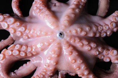 Photo of One fresh raw octopus on black background, top view