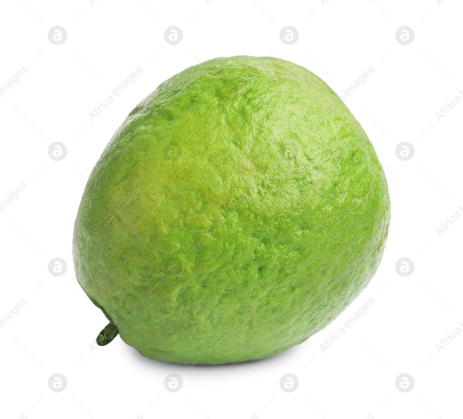 Photo of One fresh guava fruit isolated on white