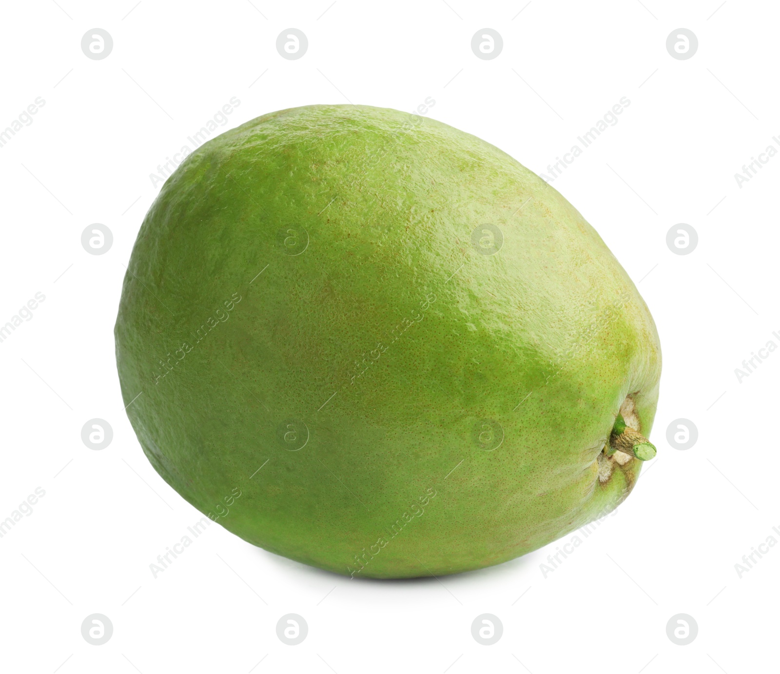 Photo of One fresh guava fruit isolated on white