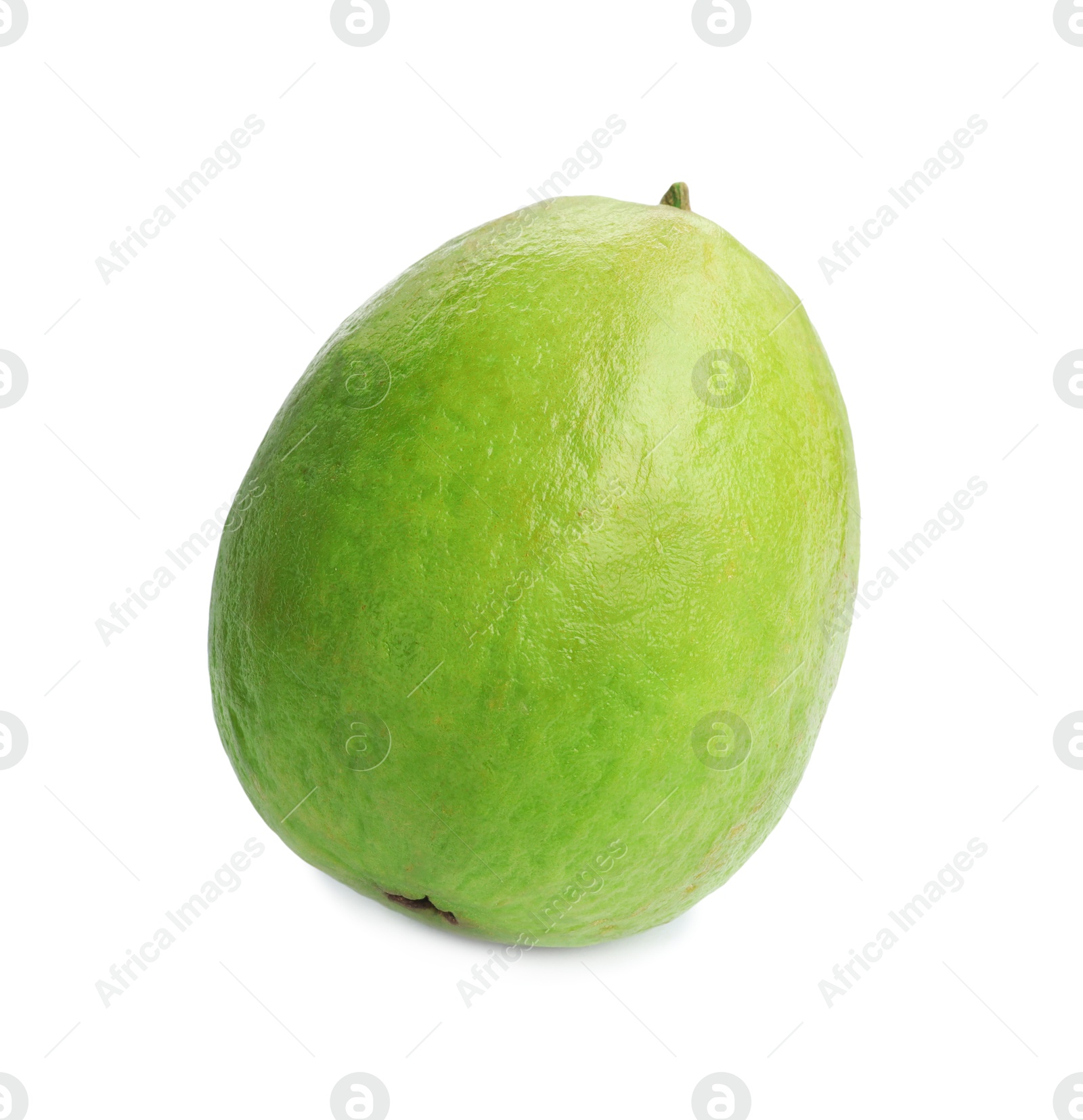 Photo of One fresh guava fruit isolated on white