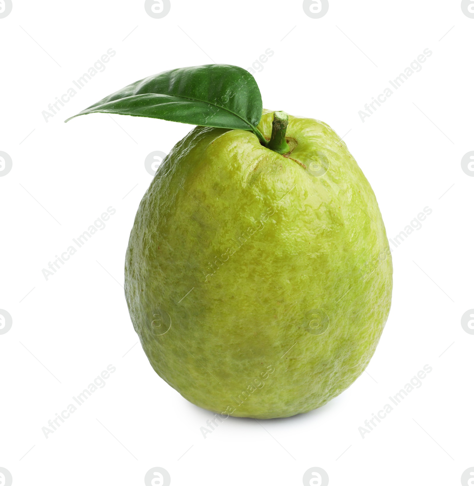 Photo of One fresh guava fruit with leaf isolated on white