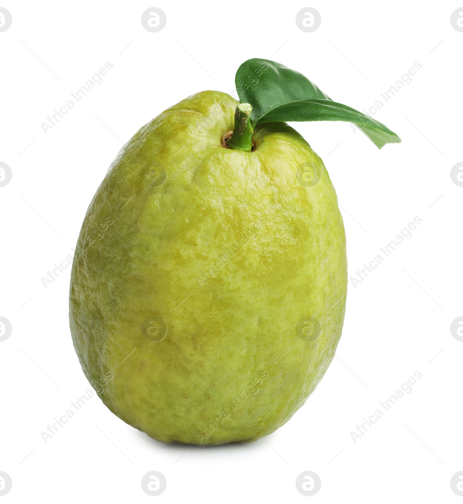 Photo of One fresh guava fruit with leaf isolated on white