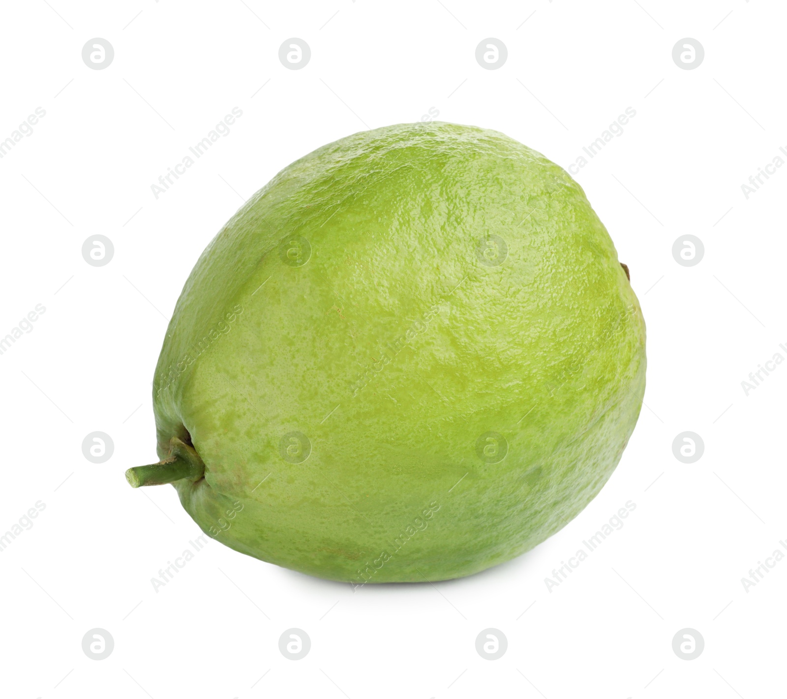 Photo of One fresh guava fruit isolated on white