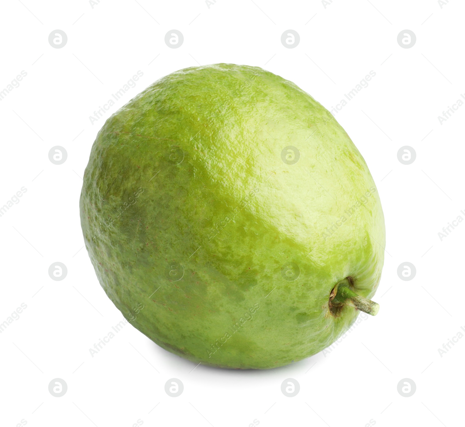 Photo of One fresh guava fruit isolated on white