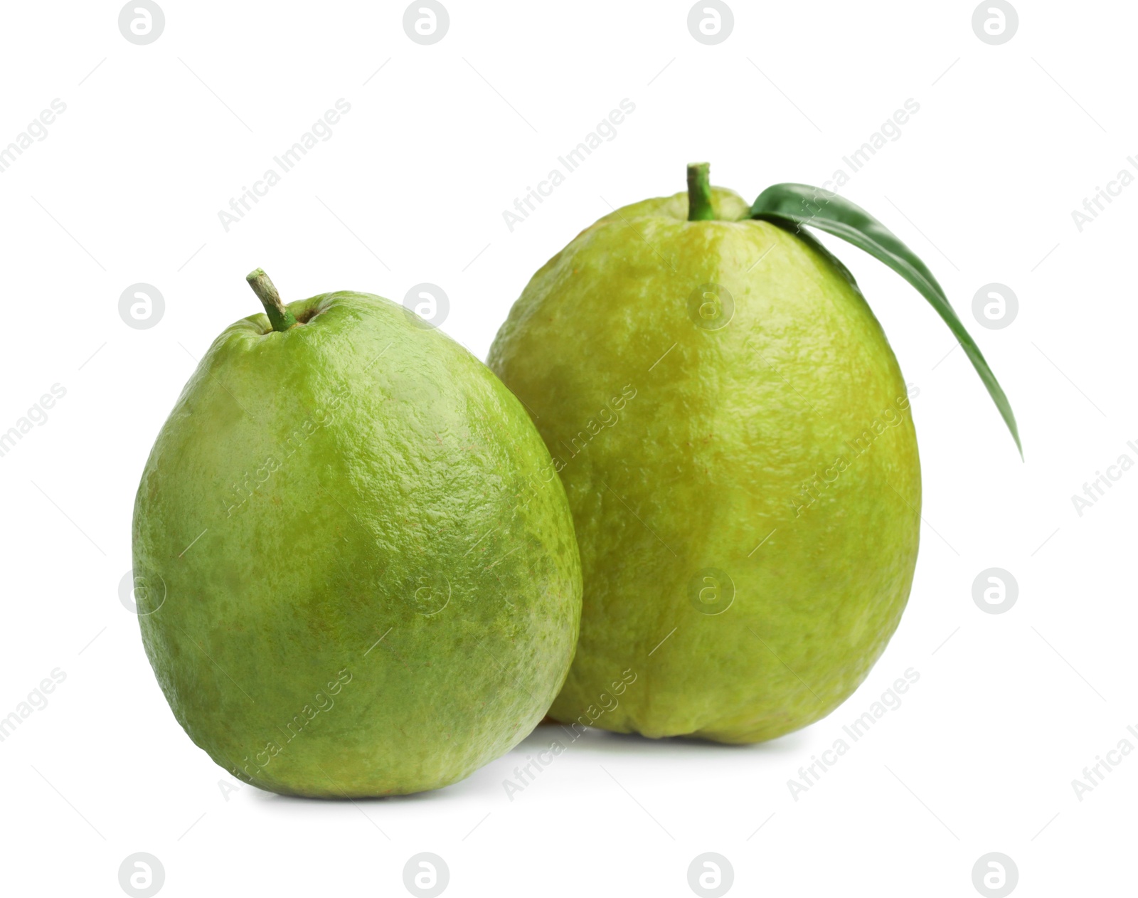 Photo of Two fresh guava fruits isolated on white