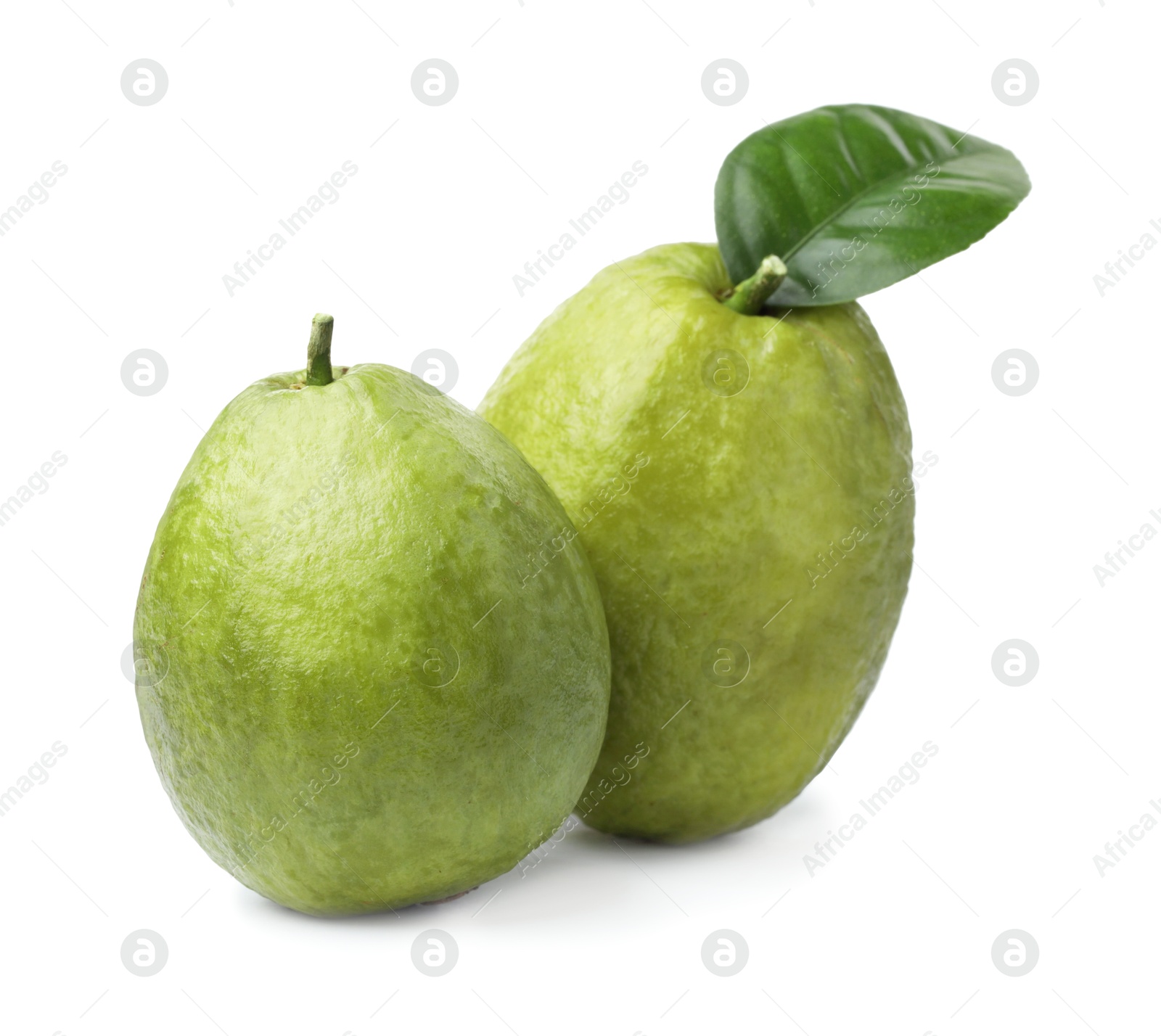 Photo of Two fresh guava fruits isolated on white