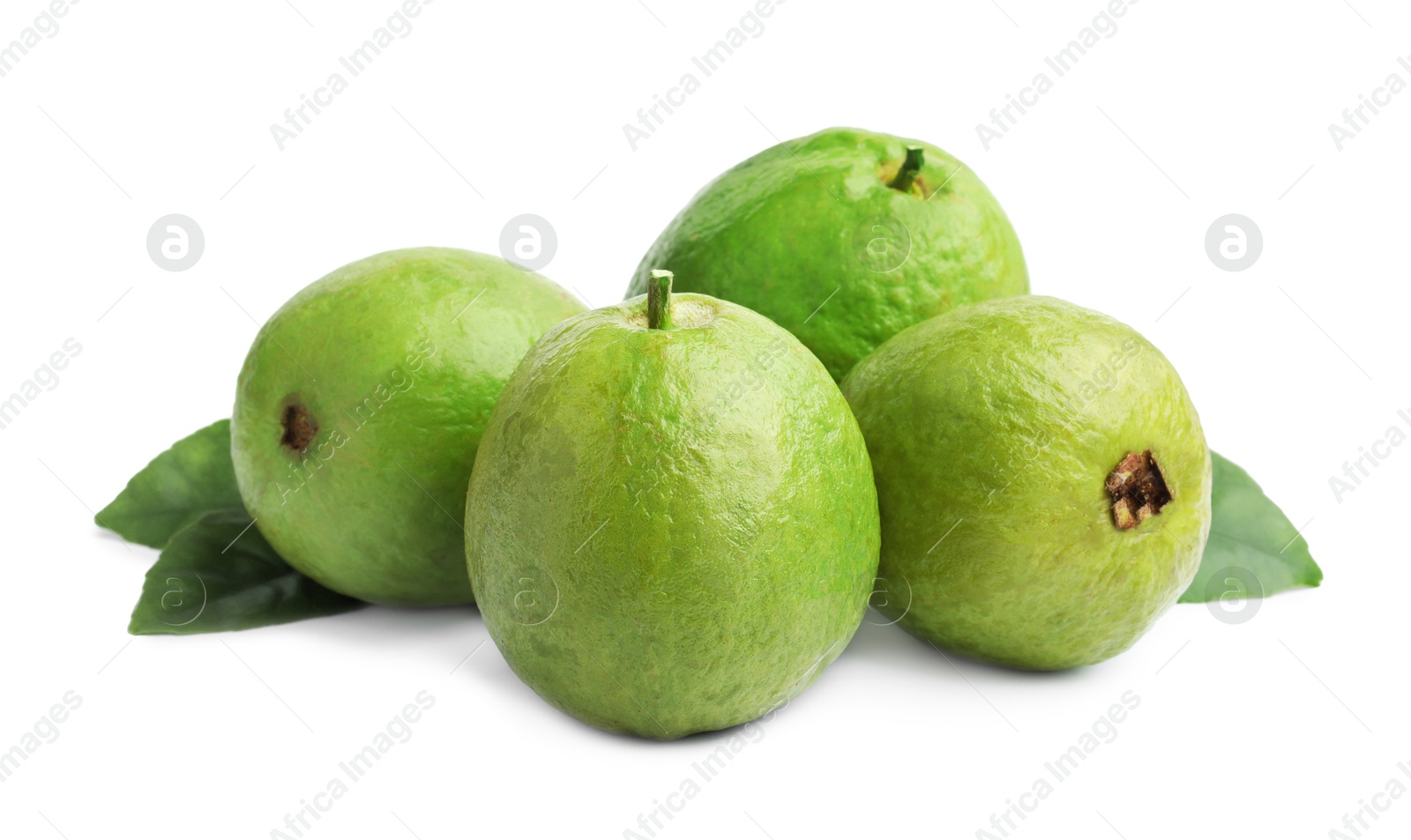 Photo of Fresh guava fruits with leaves isolated on white