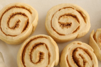 Photo of Many uncooked cinnamon rolls in baking dish, closeup