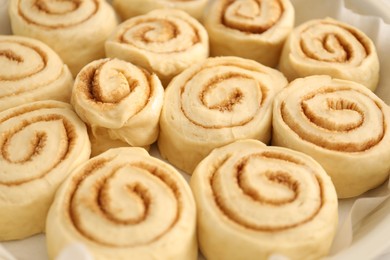 Photo of Many uncooked cinnamon rolls in baking dish, closeup