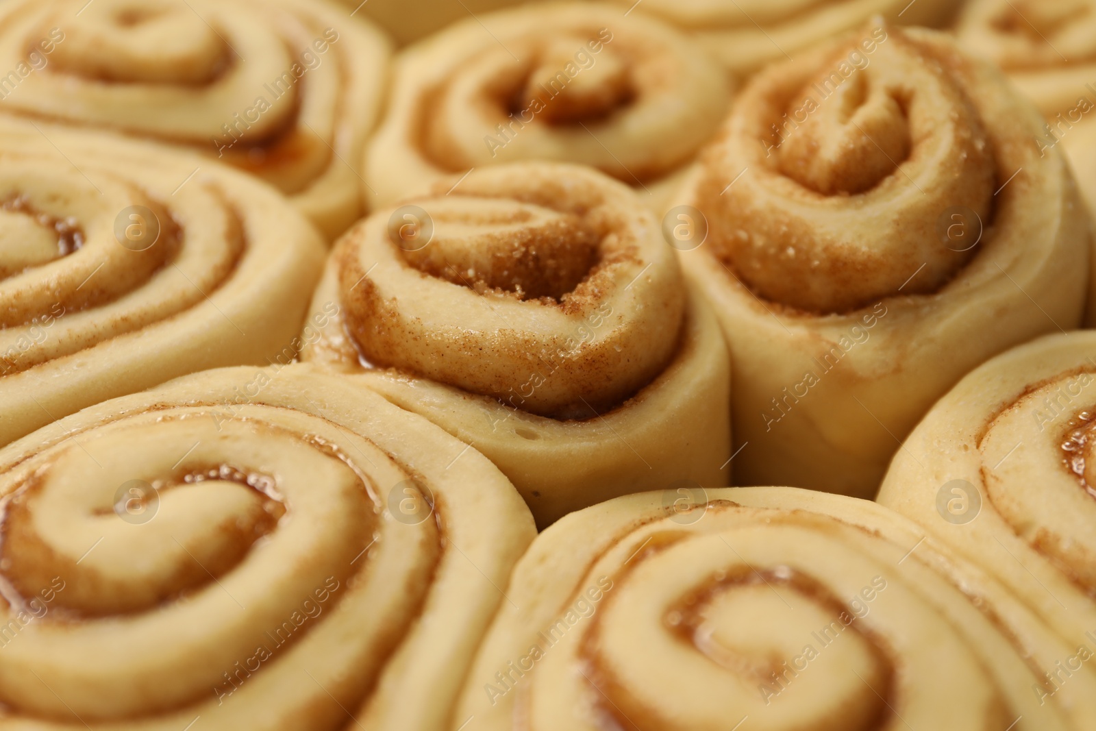 Photo of Many raw cinnamon rolls as background, closeup