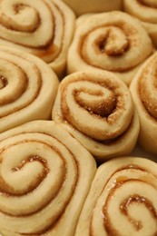 Photo of Many raw cinnamon rolls as background, closeup