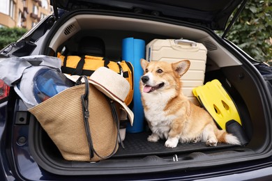 Photo of Pembroke Welsh Corgi with suitcase and other stuff in car trunk