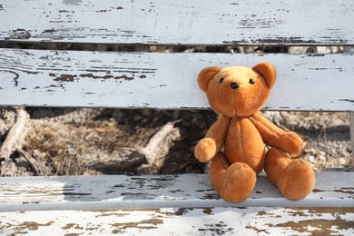 Photo of Lonely teddy bear on bench in park