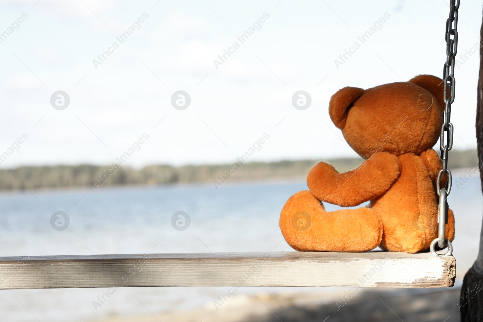 Photo of Lonely teddy bear on swing near river, back view. Space for text