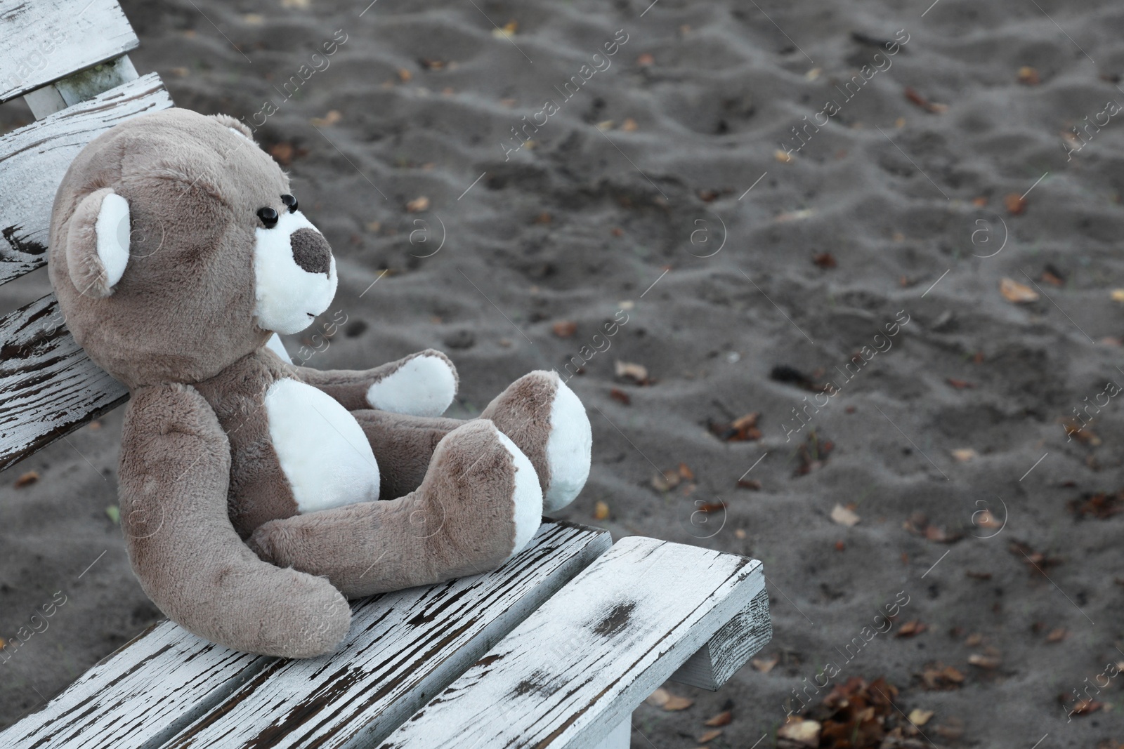 Photo of Lonely teddy bear on bench at beach