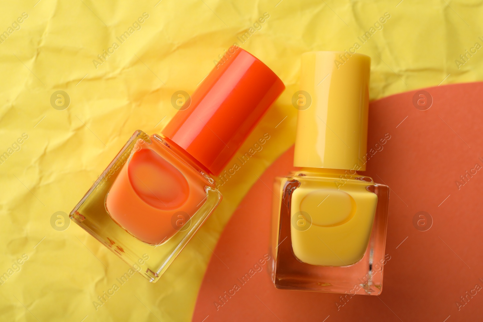 Photo of Nail polishes in bottles on color background, flat lay