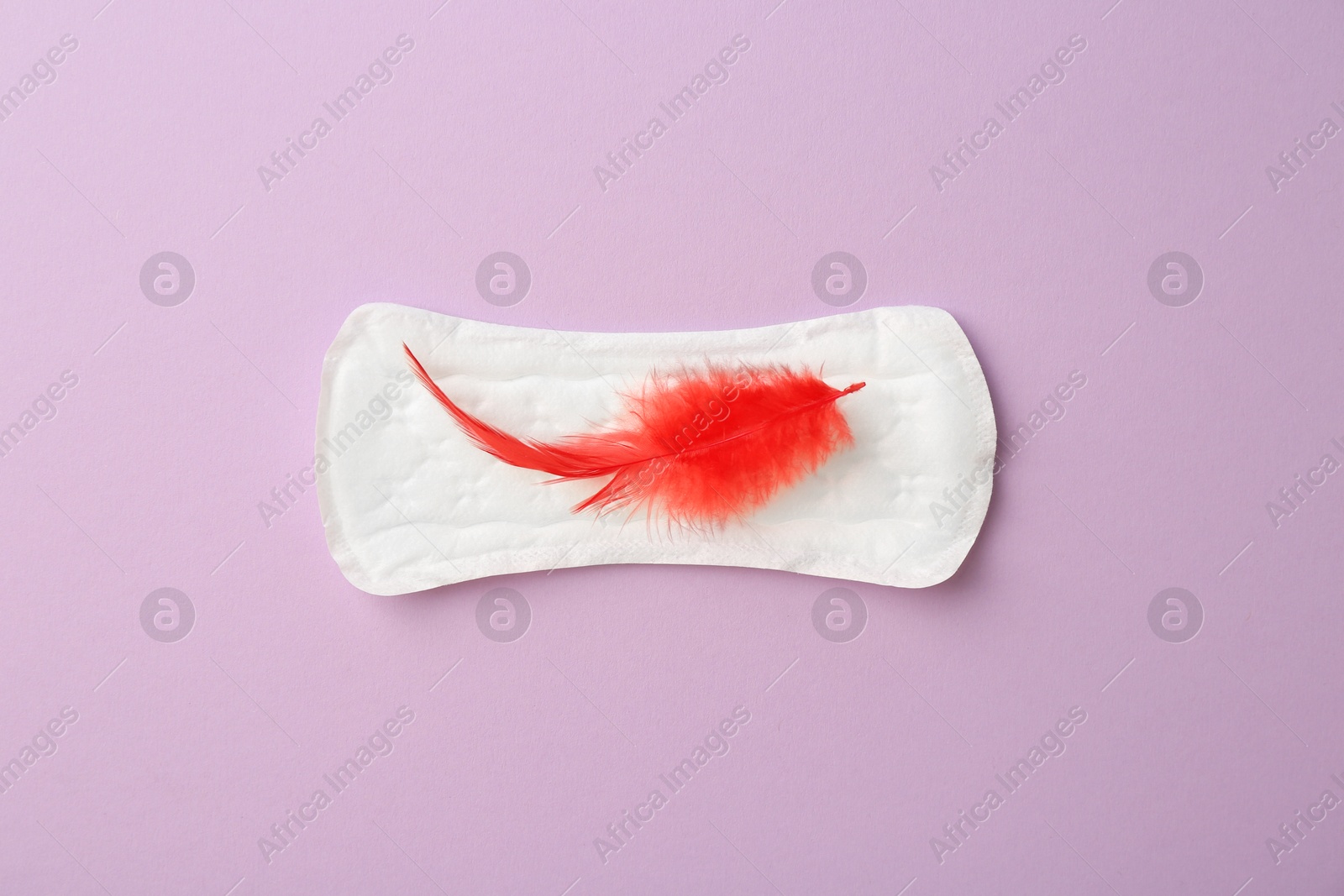 Photo of Menstrual pad with red feather on lilac background, top view