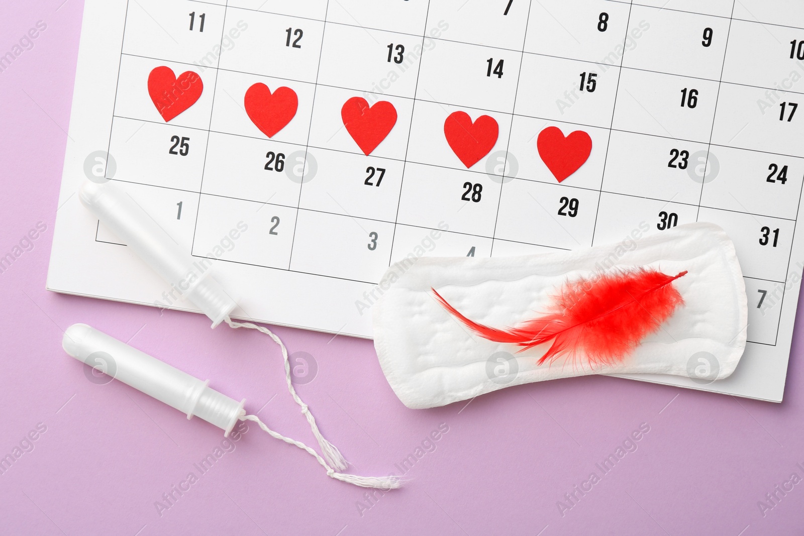 Photo of Calendar with marked dates, menstrual pad with feather and tampons on lilac background, top view