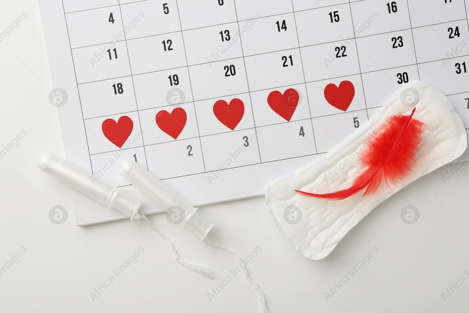 Photo of Calendar with marked dates, menstrual pad with feather and tampons on white background, top view