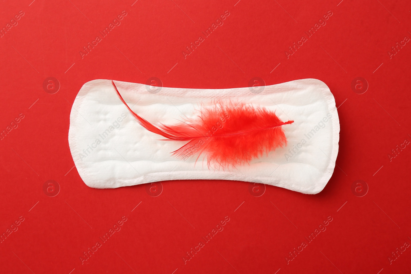 Photo of Menstrual pad with feather on red background, top view